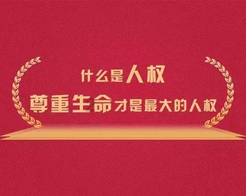 情满四合院美女排名游戏画面